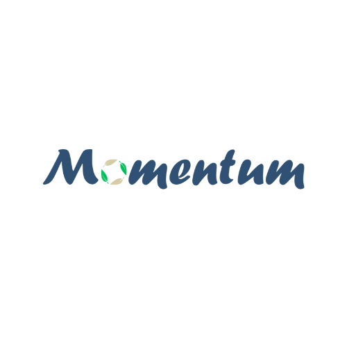 Momentum logo PNG